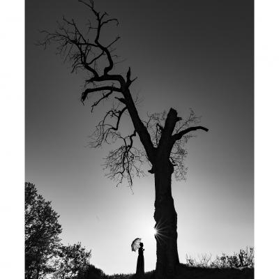 L'arbre magique 1