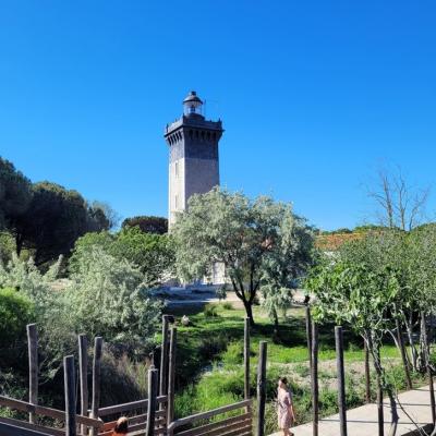 Phare de l'Espiguette 12