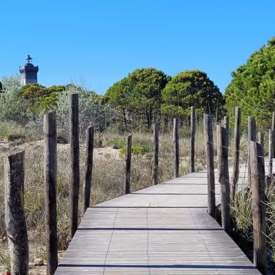 Phare de l'Espiguette 3