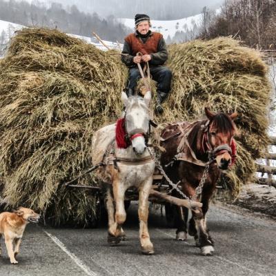 4 hay wagon resize