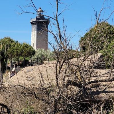 Phare de l'Espiguette 6