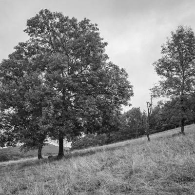 Ariege de part en part 4