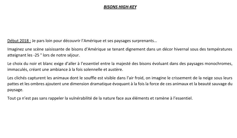 Bisons high-key - Présentation