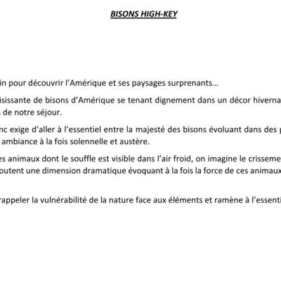 Bisons high-key - Présentation