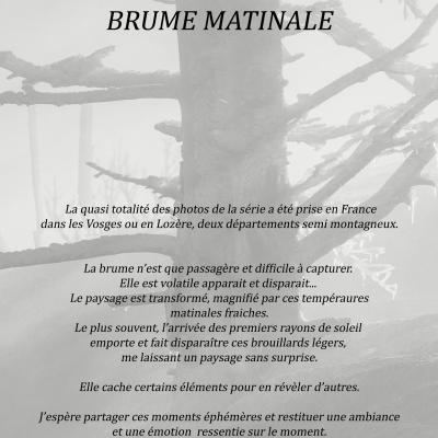 Brume matinale 