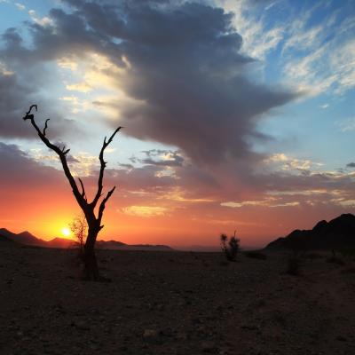 Les couleurs de la Namibie 9