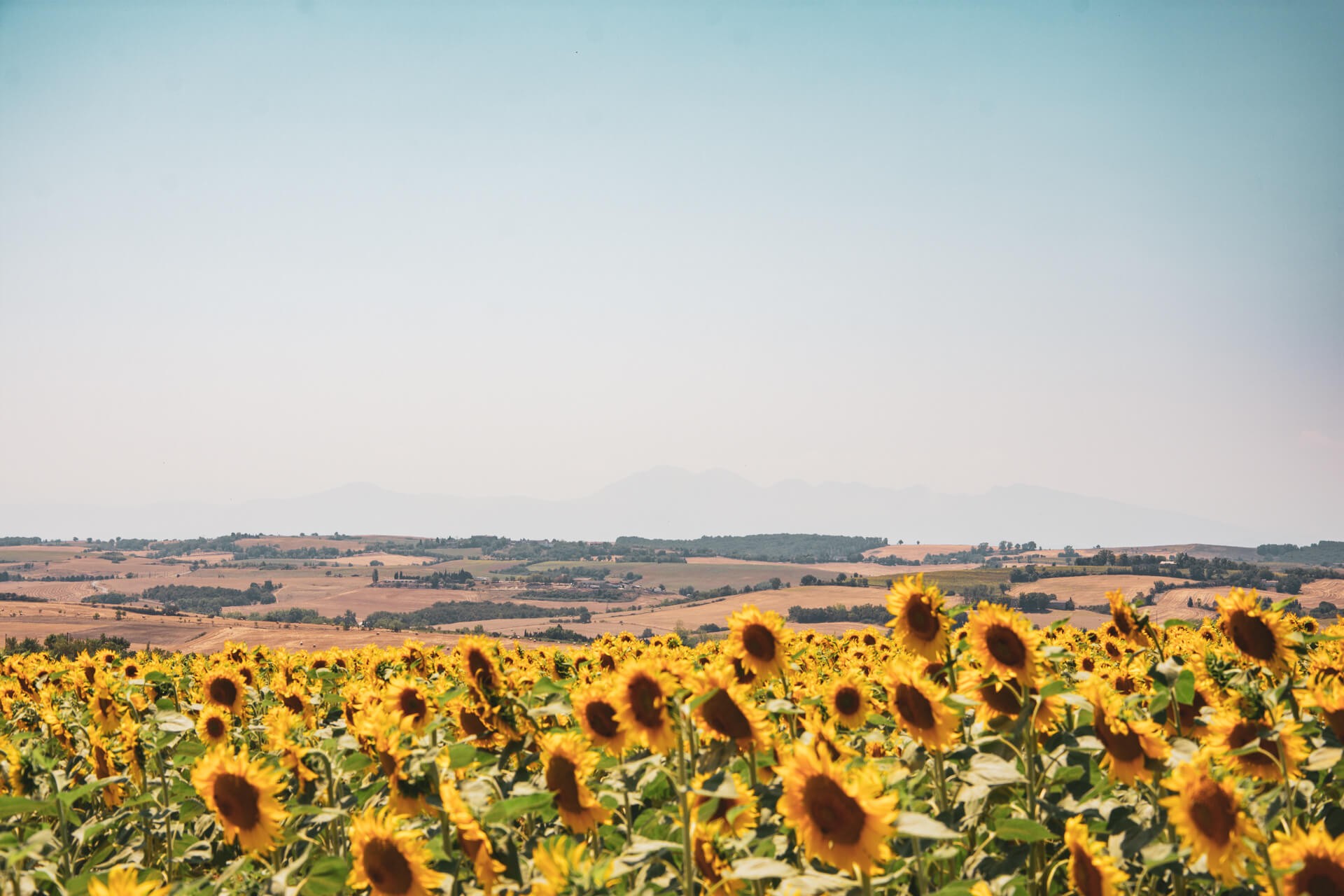 Couleurs du lauragais 10