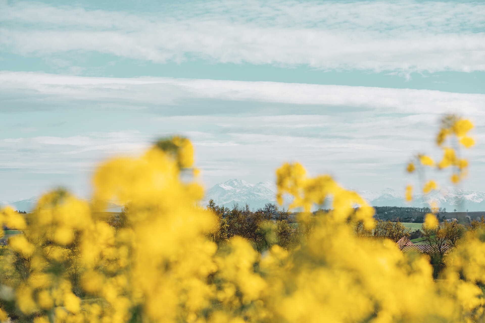 Couleurs du lauragais 2