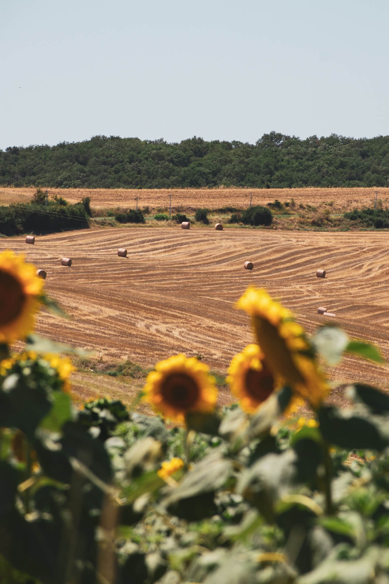 Couleurs du lauragais 3