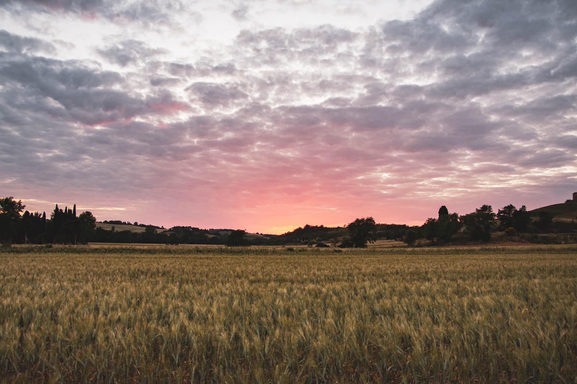 Couleurs du lauragais 4