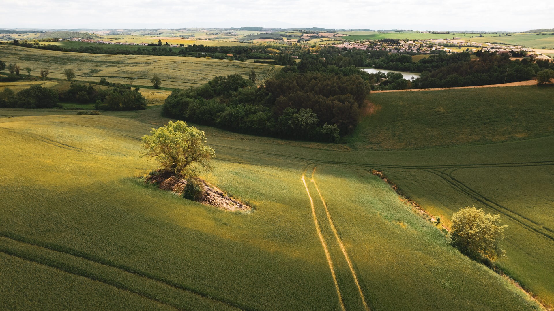 Couleurs du lauragais 8