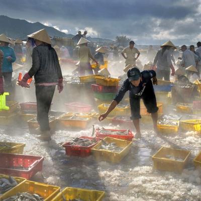 Fish market hoang trung thuy copier 