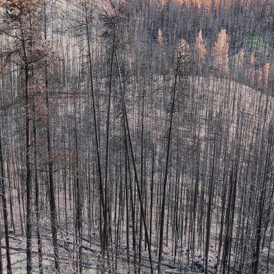 Incendies et canadairs 11