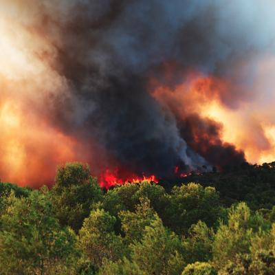 Incendies et canadairs 4