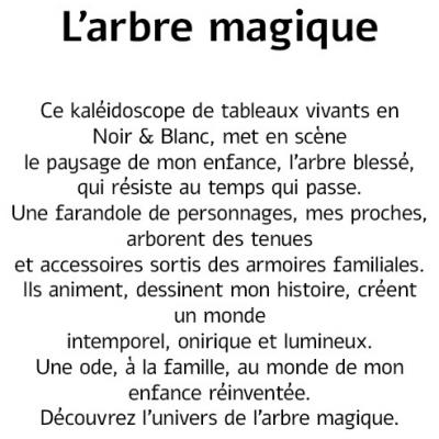 L'arbre magique - Présentation