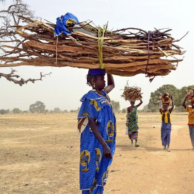 14 - Le bois en Afrique