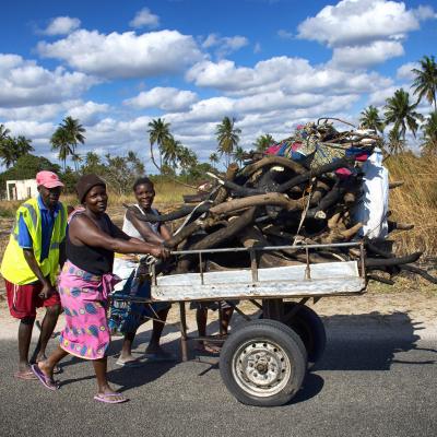 6 - Le bois en Afrique