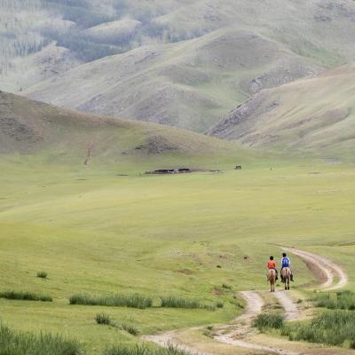 20 - Le cheval en Mongolie