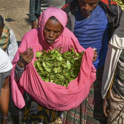 Les marches d ethiopie 10 