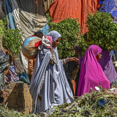 Les marches d ethiopie 11 