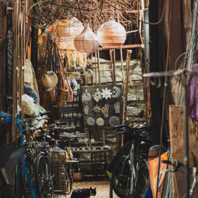 Les petits habitants de marrakech 8