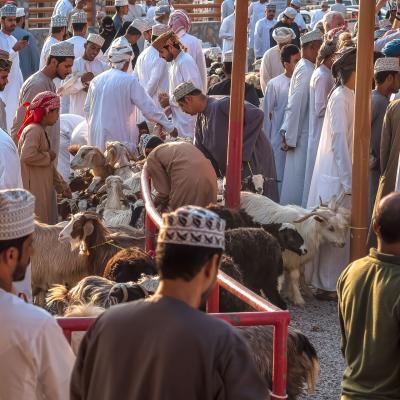 Marche aux chevres de nizwa 1 