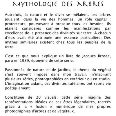 Mythologie des arbres - Présentation