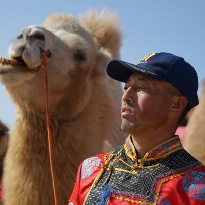 Nagy lajos camel chaser