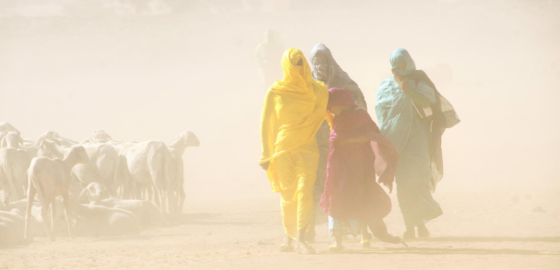 Mauritanie, de Francis Tack