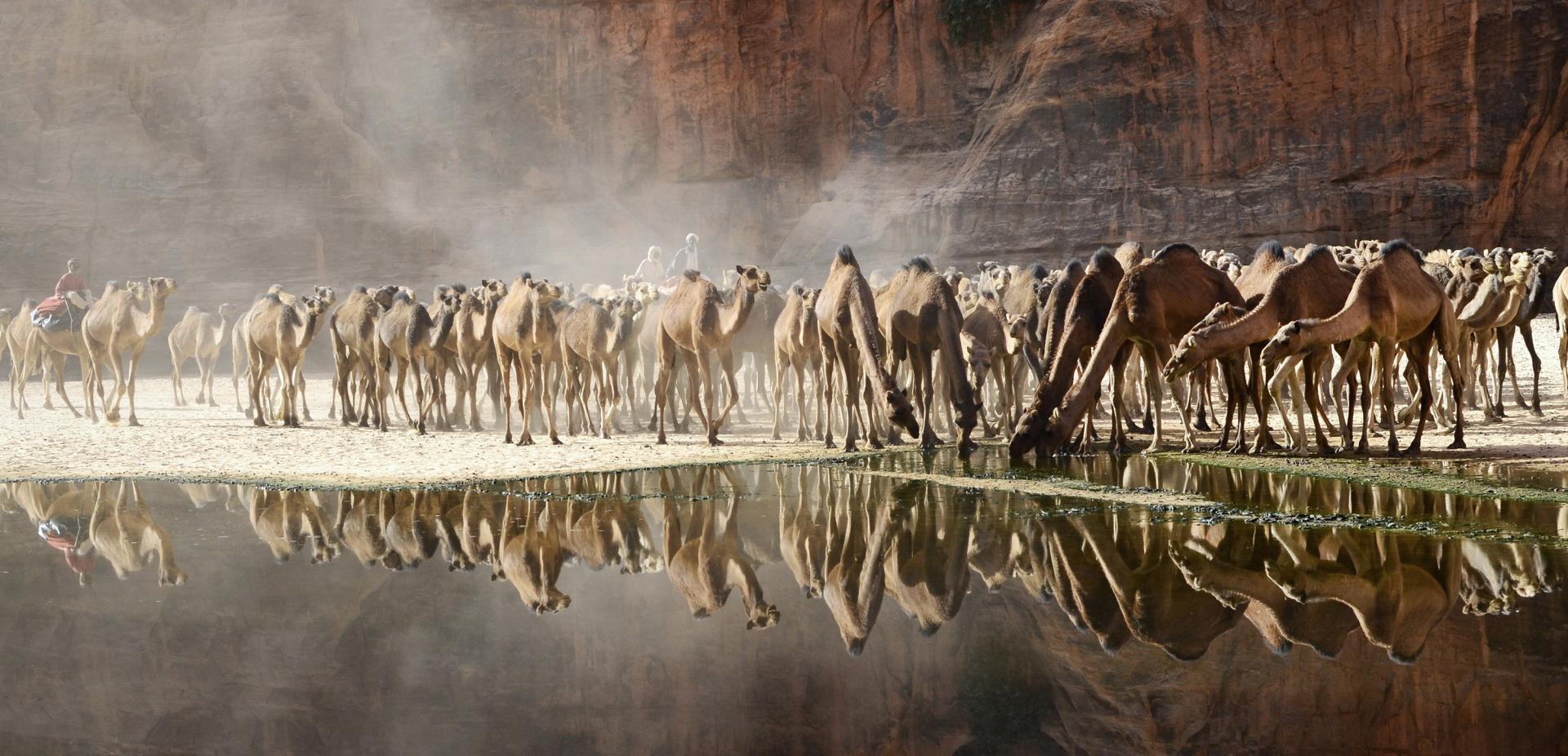 La Tchad et l'eau, de Marie-José Tack