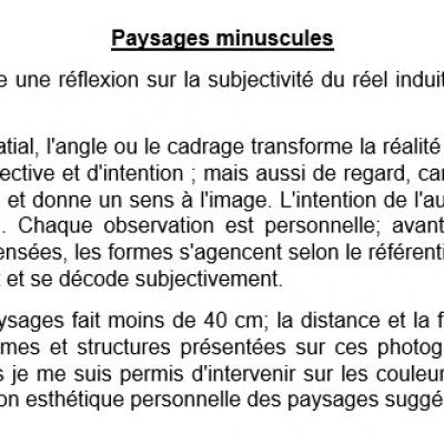 Paysages minuscules - Présentation