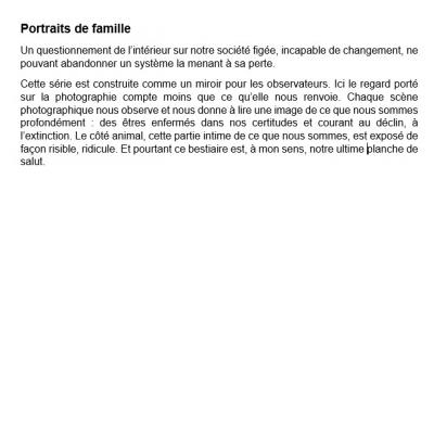 Portraits de famille - Présentation