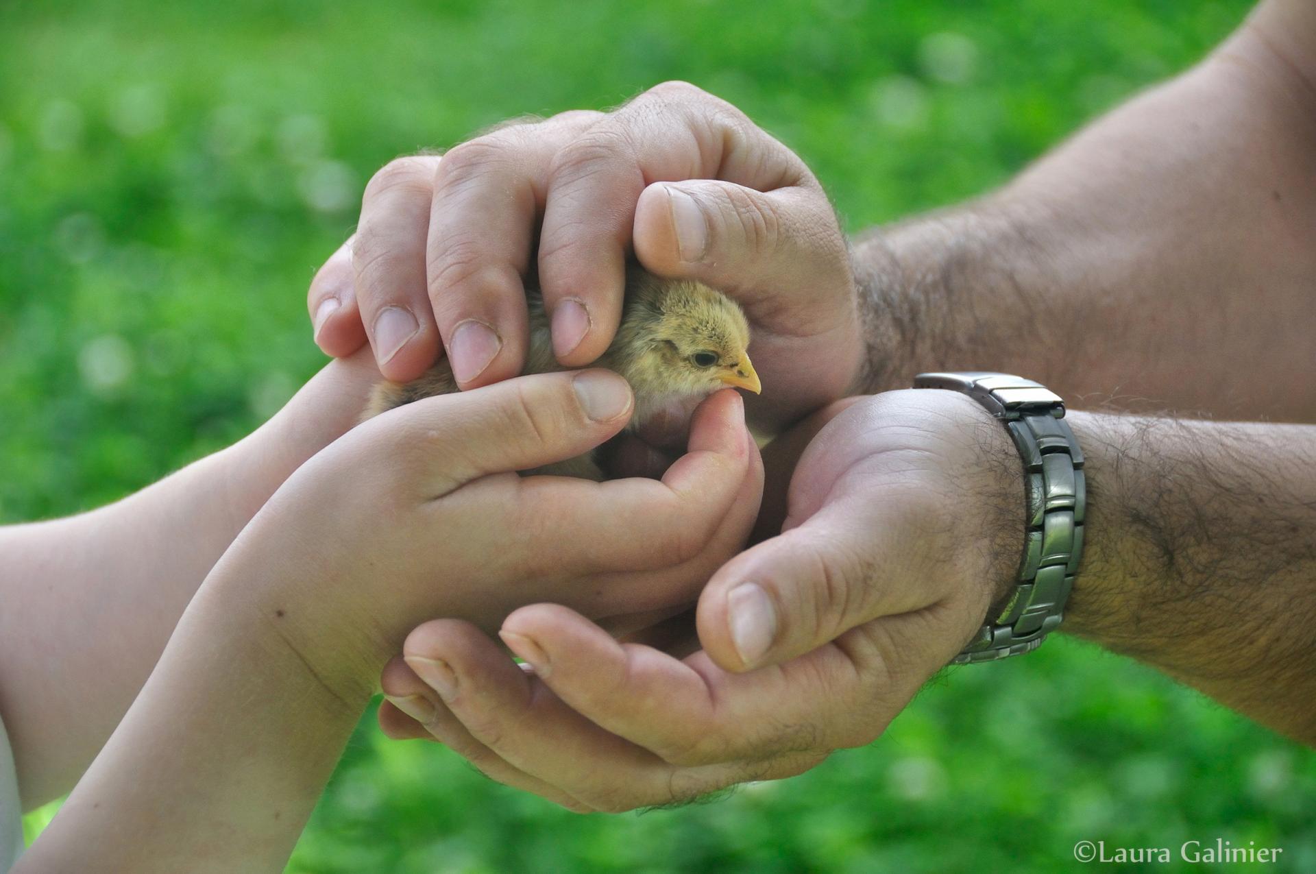 Entre ses mains de Laura Galinier 