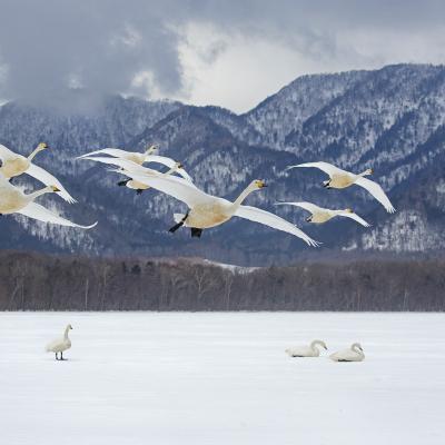 Terres glacees hokkaido 10 