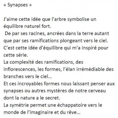 Texte presentation synapses 