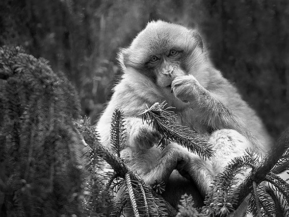 Un autre regard 4 