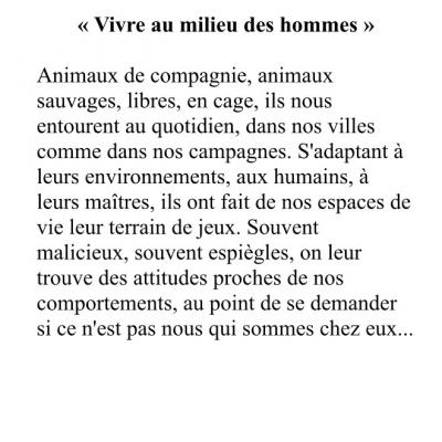 Vivre au milieu des hommes - Présentation